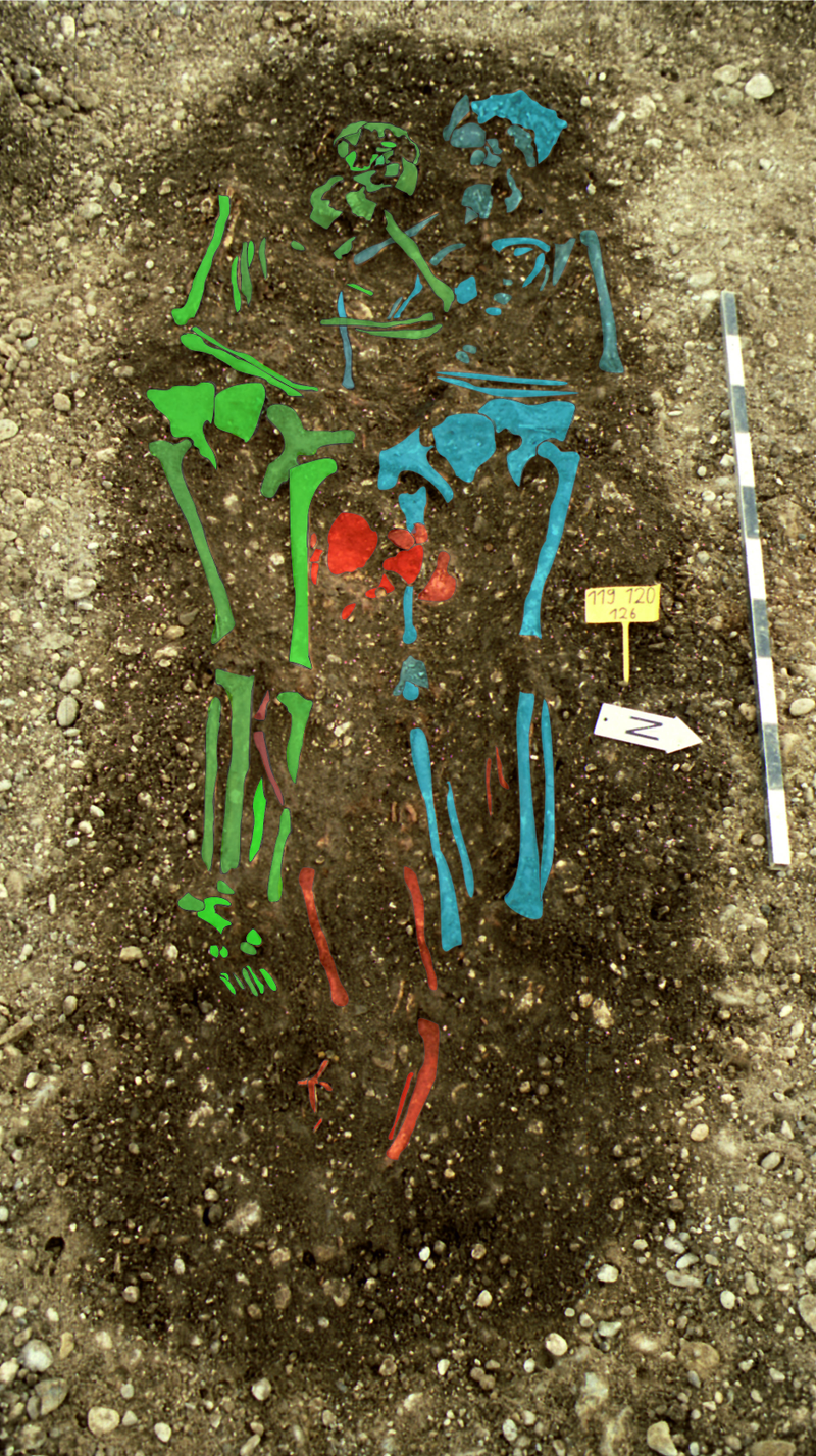 Illustration for article titled Scientists say the Black Death 'could happen again'